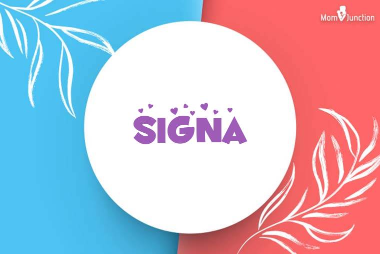 如何下载Signal并注册
